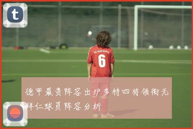 德甲最贵阵容出炉多特四将领衔无拜仁球员阵容分析